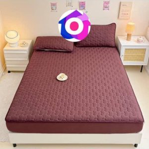 Waterproof Bedsheet 15 (King/Queen)